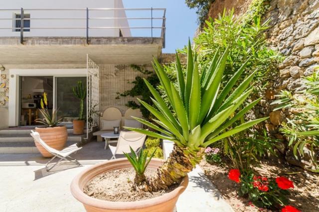 Crete Retreat - Nature & Comfort Await إرابيترا المظهر الخارجي الصورة